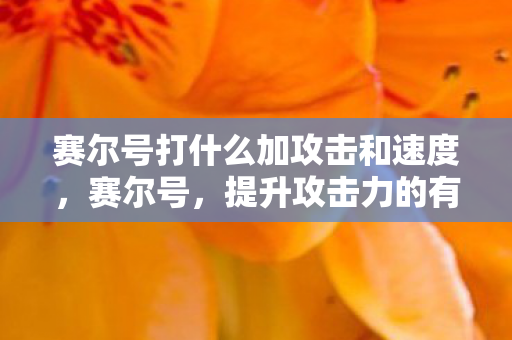 赛尔号打什么加攻击和速度,赛尔号,提升攻击力的有效策略 赛尔号打什么加攻击和速度,赛尔号,提升攻击力的有效策略