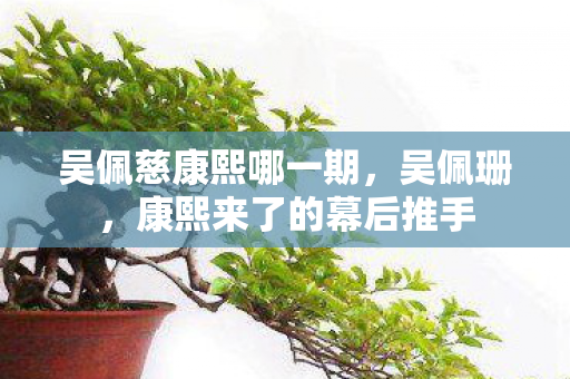 康熙来了的幕后推手图片