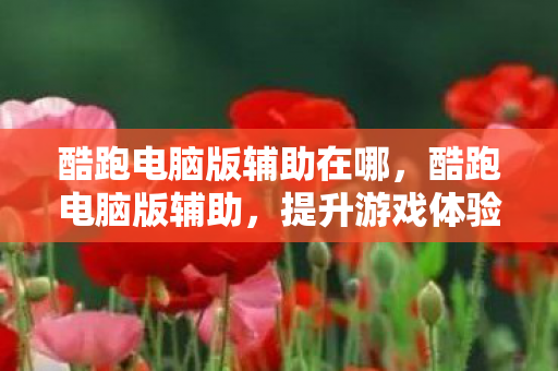提升游戏体验的明智选择图片