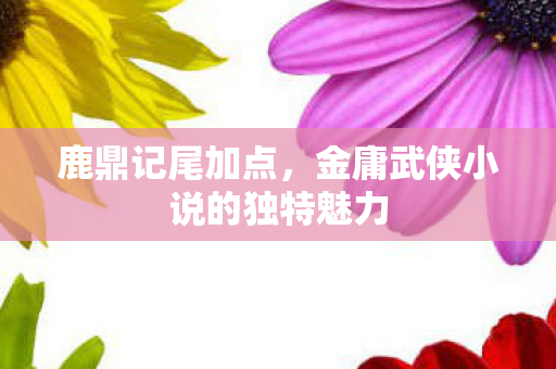 鹿鼎记尾加点,金庸武侠小说的独特魅力 鹿鼎记尾加点,金庸武侠小说的独特魅力