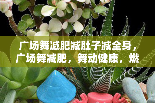 广场舞减肥减肚子减全身图片