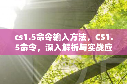深入解析与实战应用图片