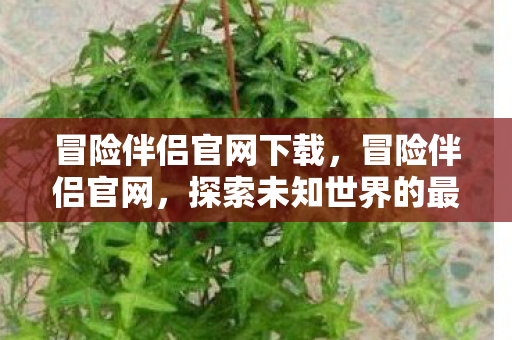 探索未知世界的最佳伙伴图片