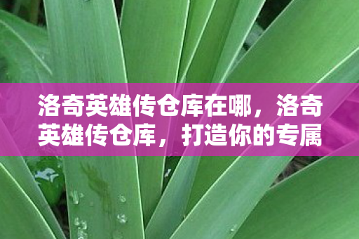 打造你的专属宝藏之地图片