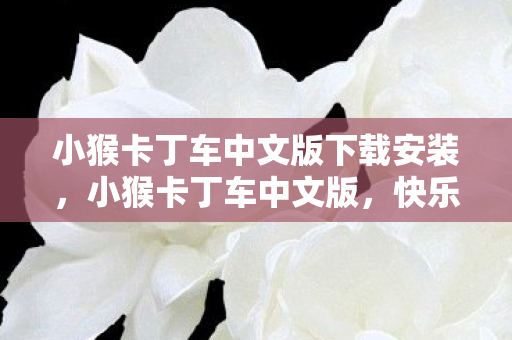 小猴卡丁车中文版下载安装图片