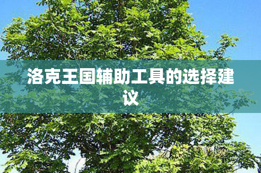 洛克王国辅助工具的选择建议 洛克王国辅助工具的选择建议