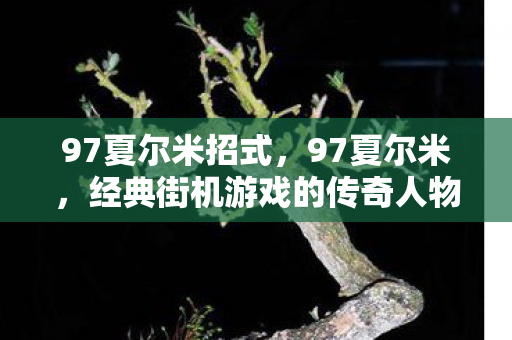 经典街机游戏的传奇人物图片