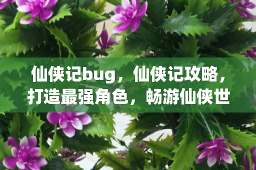 仙侠记bug,仙侠记攻略,打造最强角色,畅游仙侠世界 仙侠记bug,仙侠记攻略,打造最强角色,畅游仙侠世界