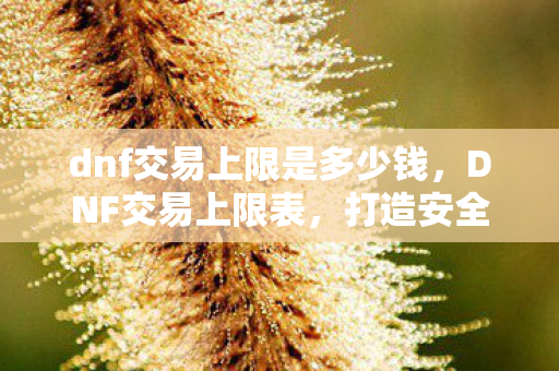 dnf交易上限是多少钱,DNF交易上限表,打造安全交易环境的关键 dnf交易上限是多少钱,DNF交易上限表,打造安全交易环境的关键