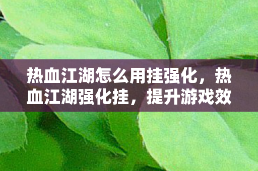热血江湖怎么用挂强化,热血江湖强化挂,提升游戏效率,但需谨慎使用 热血江湖怎么用挂强化,热血江湖强化挂,提升游戏效率,但需谨慎使用