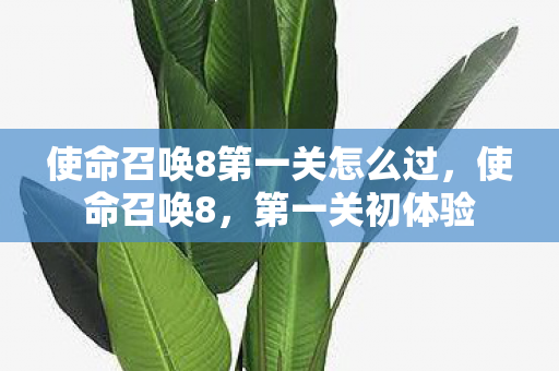 使命召唤8第一关怎么过,使命召唤8,第一关初体验 使命召唤8第一关怎么过,使命召唤8,第一关初体验