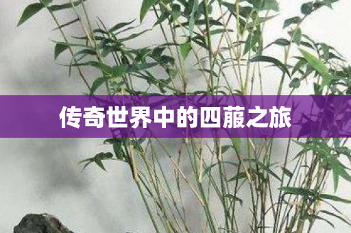 传奇世界中的四菔之旅 传奇世界中的四菔之旅