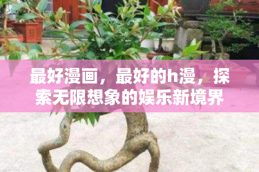 最好漫画,最好的h漫,探索无限想象的娱乐新境界 最好漫画,最好的h漫,探索无限想象的娱乐新境界