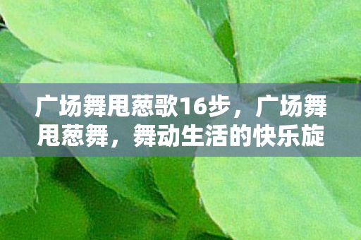 广场舞甩葱歌16步,广场舞甩葱舞,舞动生活的快乐旋律 广场舞甩葱歌16步,广场舞甩葱舞,舞动生活的快乐旋律