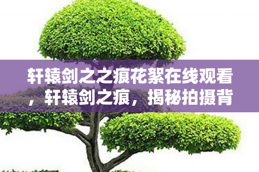 轩辕剑之之痕花絮在线观看，轩辕剑之痕，揭秘拍摄背后的精彩花絮