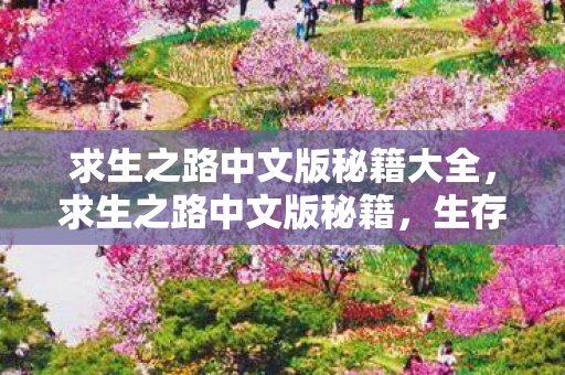 求生之路中文版秘籍大全图片