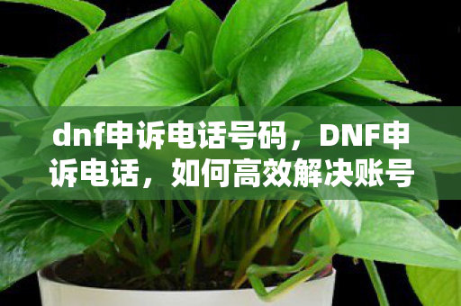 dnf申诉电话号码,DNF申诉电话,如何高效解决账号问题 dnf申诉电话号码,DNF申诉电话,如何高效解决账号问题