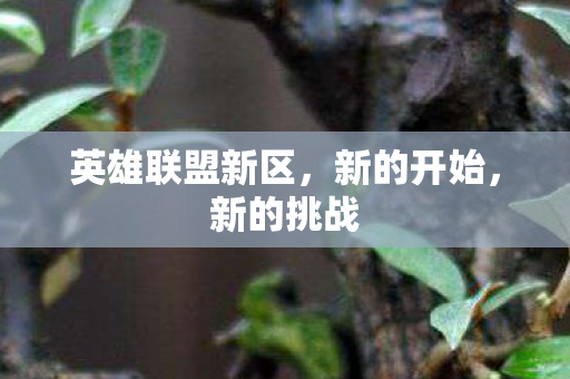 英雄联盟新区,新的开始,新的挑战 英雄联盟新区,新的开始,新的挑战