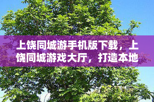上饶同城游手机版下载图片