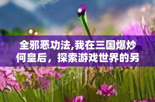 全邪恶功法,我在三国爆炒何皇后,探索游戏世界的另一面,私服背后的文化与技术 全邪恶功法,我在三国爆炒何皇后,探索游戏世界的另一面,私服背后的文化与技术
