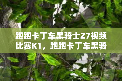 跑跑卡丁车黑骑士Z7视频比赛K1,跑跑卡丁车黑骑士z7,传奇赛车的魅力与传承 跑跑卡丁车黑骑士Z7视频比赛K1,跑跑卡丁车黑骑士z7,传奇赛车的魅力与传承
