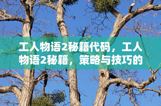 工人物语2秘籍代码，工人物语2秘籍，策略与技巧的深度剖析