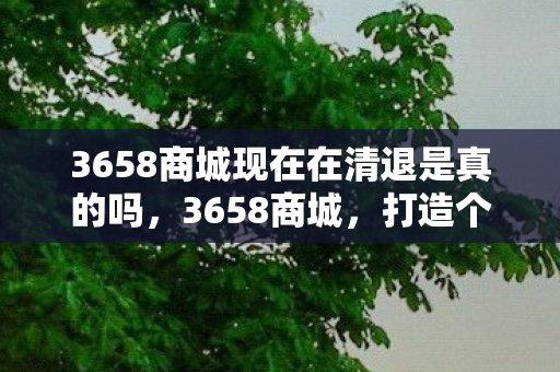 3658商城现在在清退是真的吗，3658商城，打造个性化购物体验，引领数字生活新风尚