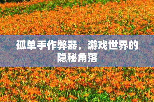 孤单手作弊器,游戏世界的隐秘角落 孤单手作弊器,游戏世界的隐秘角落