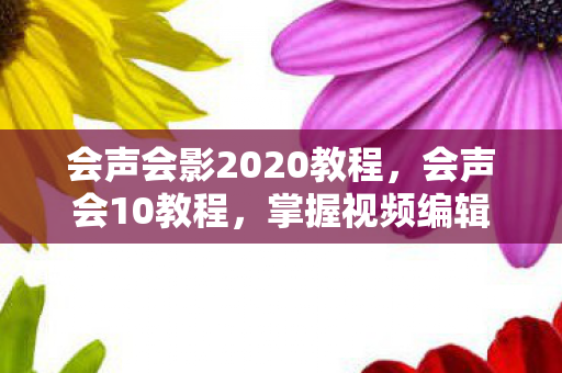 会声会影2020教程,会声会10教程,掌握视频编辑的必备技能 会声会影2020教程,会声会10教程,掌握视频编辑的必备技能