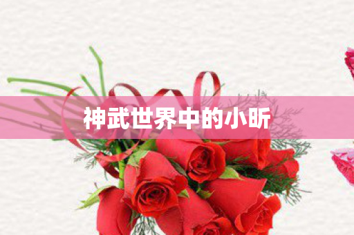 神武世界中的小昕 神武世界中的小昕