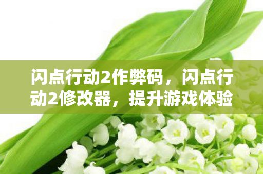 闪点行动2作弊码,闪点行动2修改器,提升游戏体验的必备神器 闪点行动2作弊码,闪点行动2修改器,提升游戏体验的必备神器