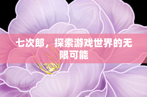 七次郎,探索游戏世界的无限可能 七次郎,探索游戏世界的无限可能