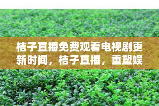 桔子直播免费观看电视剧更新时间,桔子直播,重塑娱乐新生态,引领直播新潮流 桔子直播免费观看电视剧更新时间,桔子直播,重塑娱乐新生态,引领直播新潮流