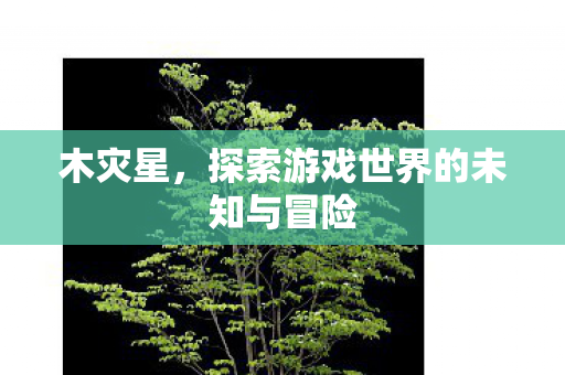 木灾星,探索游戏世界的未知与冒险 木灾星,探索游戏世界的未知与冒险