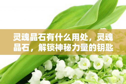 灵魂晶石有什么用处,灵魂晶石,解锁神秘力量的钥匙 灵魂晶石有什么用处,灵魂晶石,解锁神秘力量的钥匙