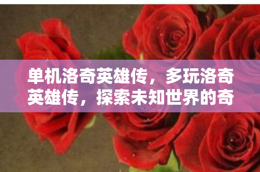 单机洛奇英雄传,多玩洛奇英雄传,探索未知世界的奇幻之旅 单机洛奇英雄传,多玩洛奇英雄传,探索未知世界的奇幻之旅