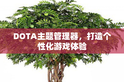 DOTA主题管理器，打造个性化游戏体验