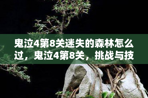 鬼泣4第8关迷失的森林怎么过,鬼泣4第8关,挑战与技巧的深度解析 鬼泣4第8关迷失的森林怎么过,鬼泣4第8关,挑战与技巧的深度解析