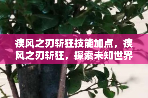 疾风之刃斩狂技能加点,疾风之刃斩狂,探索未知世界的冒险之旅 疾风之刃斩狂技能加点,疾风之刃斩狂,探索未知世界的冒险之旅