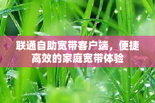 联通自助宽带客户端,便捷高效的家庭宽带体验 联通自助宽带客户端,便捷高效的家庭宽带体验