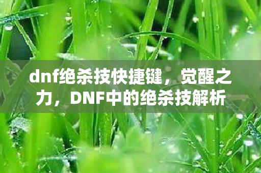 dnf绝杀技快捷键，觉醒之力，DNF中的绝杀技解析