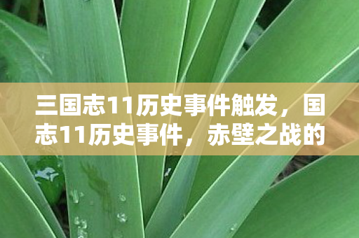 三国志11历史事件触发，国志11历史事件，赤壁之战的辉煌与战略智慧