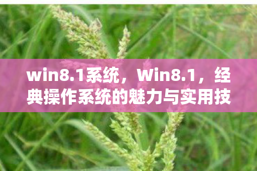 win8.1系统，Win8.1，经典操作系统的魅力与实用技巧