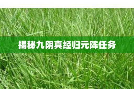 揭秘九阴真经归元阵任务 揭秘九阴真经归元阵任务