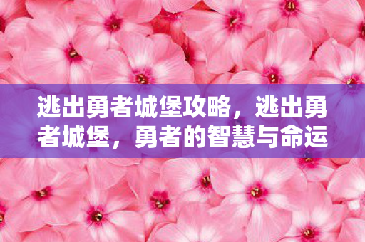 逃出勇者城堡攻略,逃出勇者城堡,勇者的智慧与命运的抉择 逃出勇者城堡攻略,逃出勇者城堡,勇者的智慧与命运的抉择