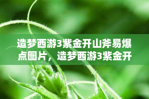 造梦西游3紫金开山斧易爆点图片,造梦西游3紫金开山斧易爆点揭秘,打造最强战力的关键所在 造梦西游3紫金开山斧易爆点图片,造梦西游3紫金开山斧易爆点揭秘,打造最强战力的关键所在