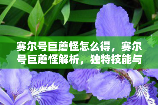 赛尔号巨蘑怪怎么得,赛尔号巨蘑怪解析,独特技能与战略应用 赛尔号巨蘑怪怎么得,赛尔号巨蘑怪解析,独特技能与战略应用