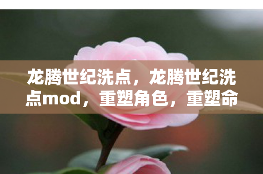 龙腾世纪洗点,龙腾世纪洗点mod,重塑角色,重塑命运 龙腾世纪洗点,龙腾世纪洗点mod,重塑角色,重塑命运