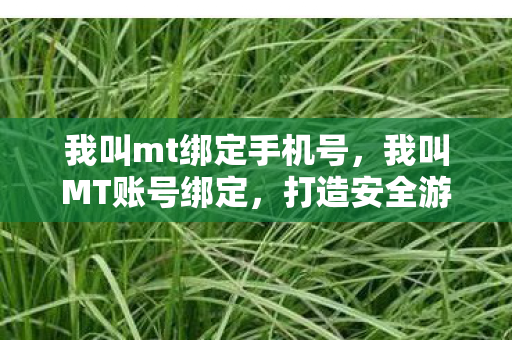 我叫mt绑定手机号，我叫MT账号绑定，打造安全游戏环境，保障玩家权益
