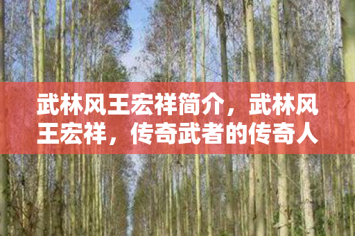 武林风王宏祥简介,武林风王宏祥,传奇武者的传奇人生 武林风王宏祥简介,武林风王宏祥,传奇武者的传奇人生